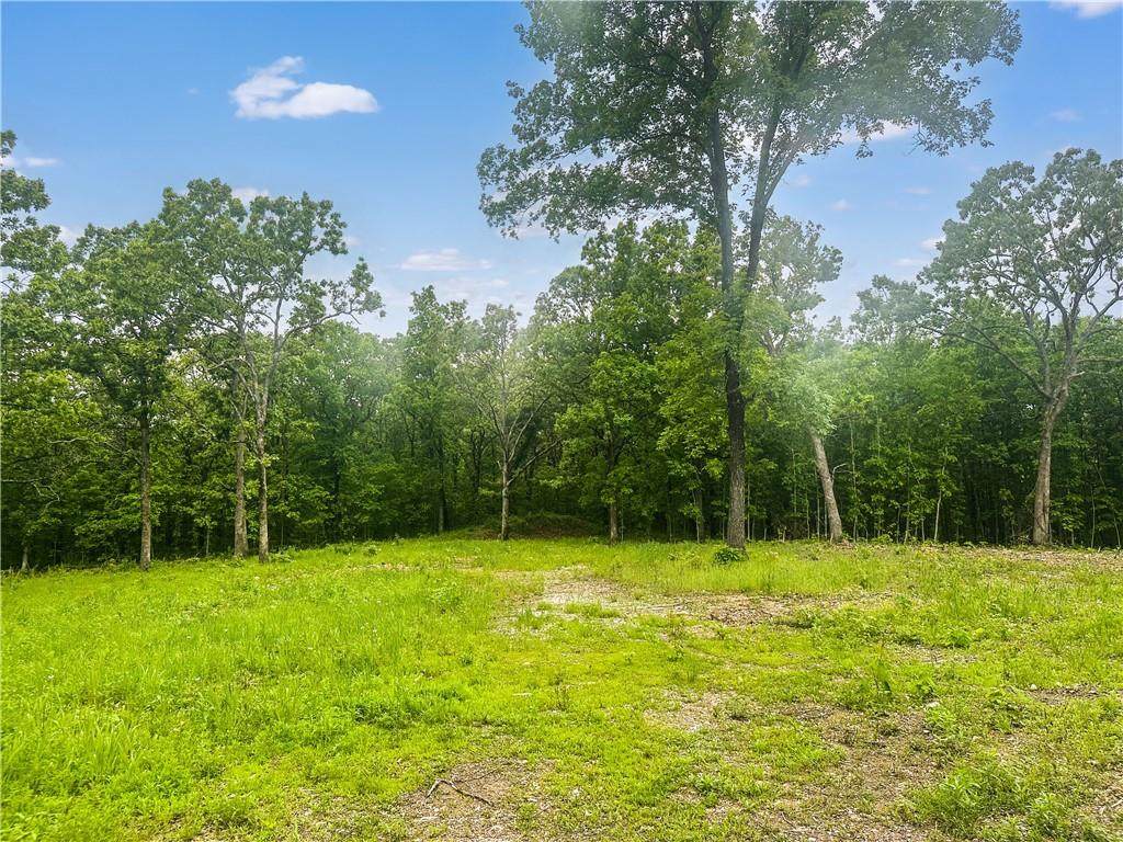 24336 Bb Highway - Photo 1