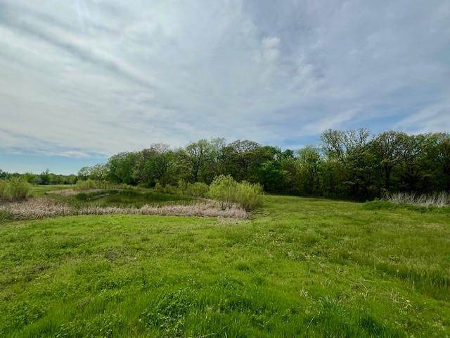 11.77 Acres 972 Road - Photo 1