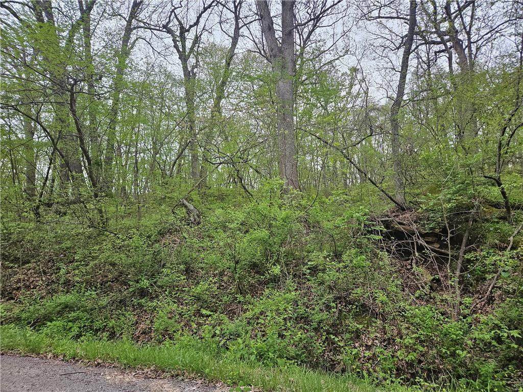 Lot 49 Park Lane - Photo 1