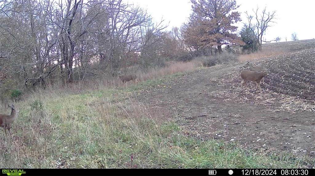 Staley Mound Rd. Road - Photo 1