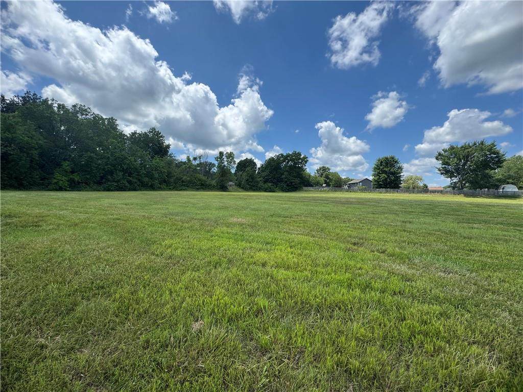 Lot 1 Main Street - Photo 1