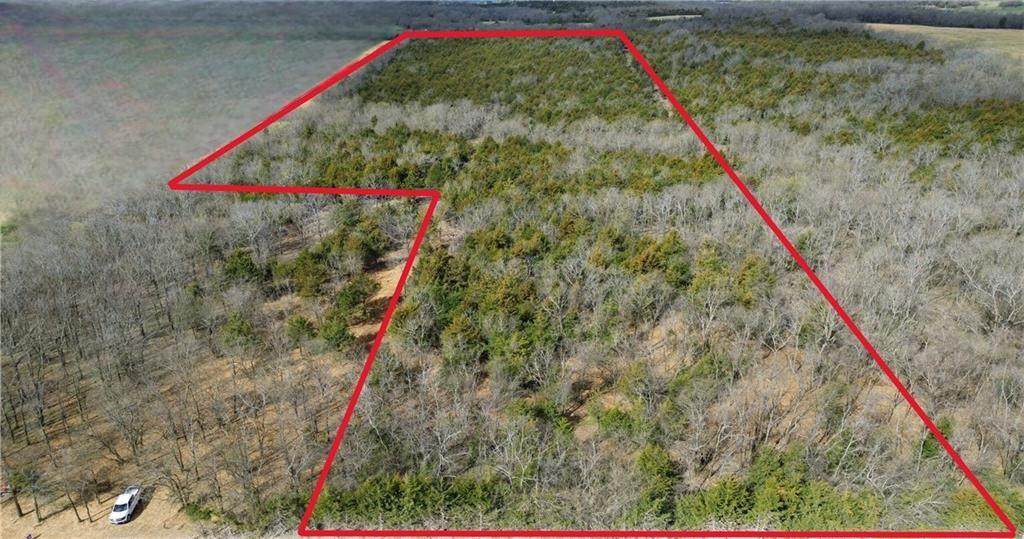 Tracts 1 & 3 Spring Valley Road - Photo 1