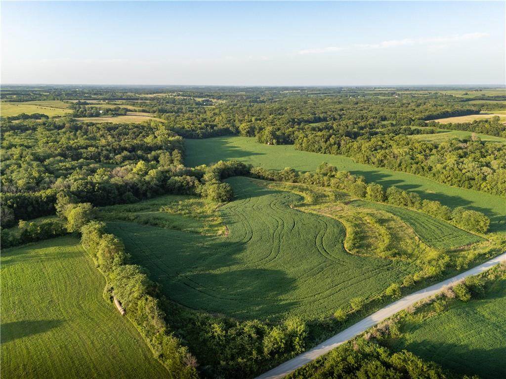 TBD Wamsley Road - Photo 1