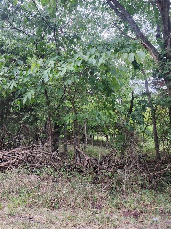 2 & 6 Shady Lane - Photo 1