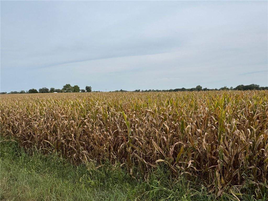 TBD Hwy V Highway - Photo 1