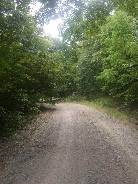 125 Raintree Ridge - Photo 1