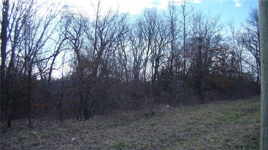  Kite Rd. Road - Photo 1