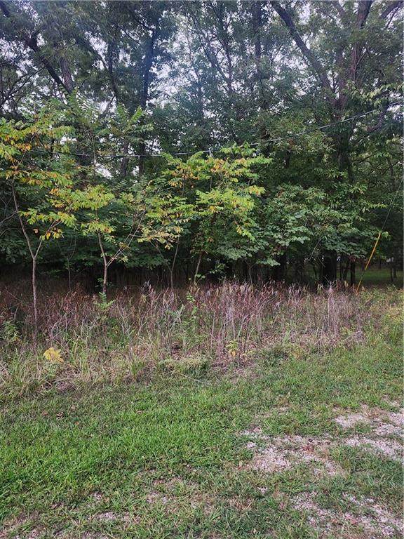 1 Live Oak Lane - Photo 1