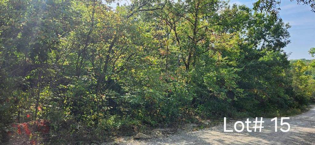 7515 Springcove Road - Photo 1