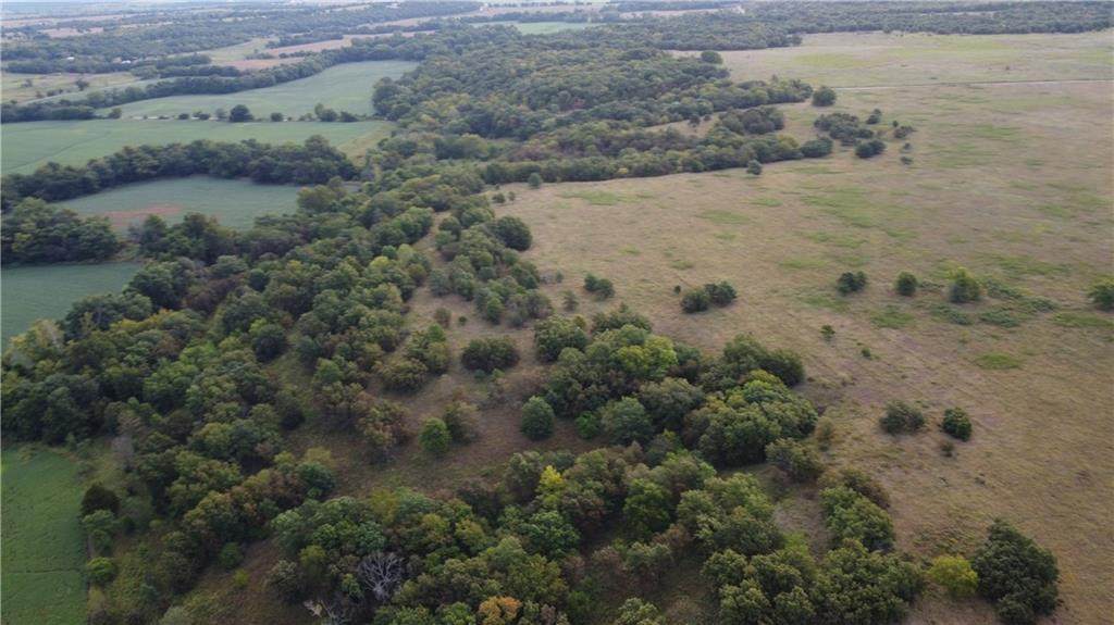  Ivory Road - Photo 1