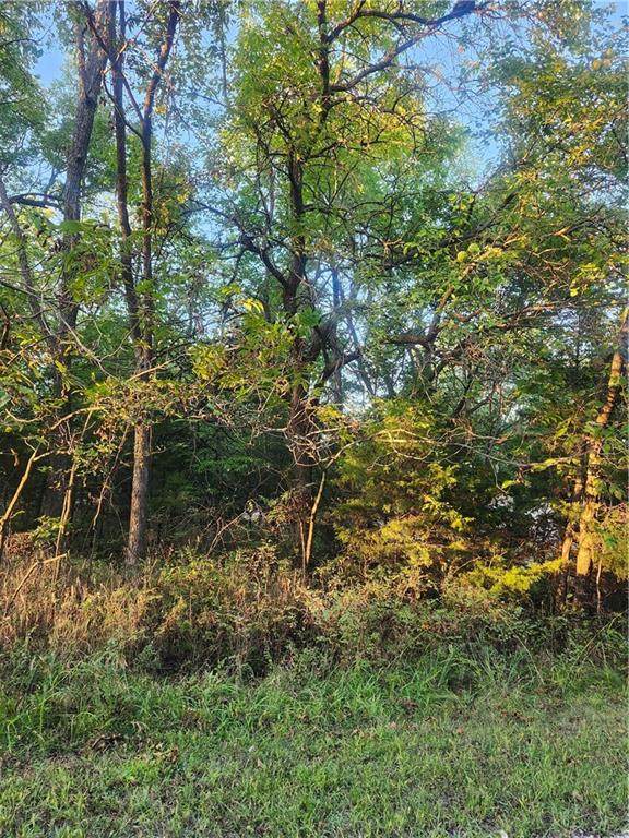 57 Beechwood Lane - Photo 1