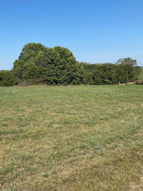 00000 Bauserman Road - Photo 1