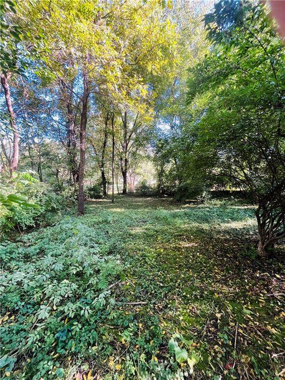 2715 Cook Road - Photo 1