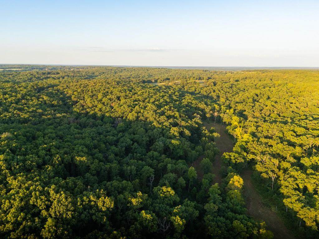 0000 Shooting Star Lane - Photo 1