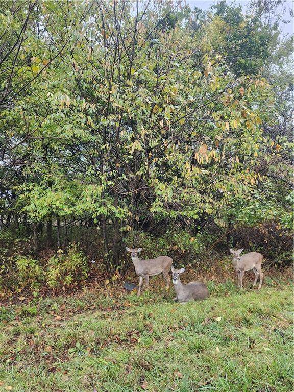 29 Ohio Drive - Photo 1