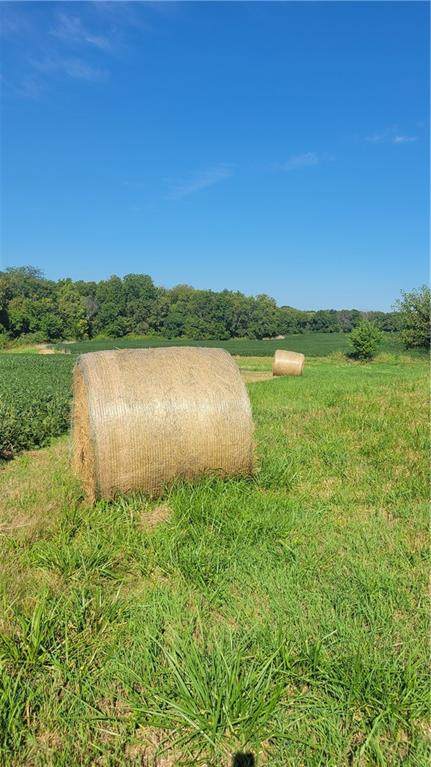 3431 Old Stage Road - Photo 1