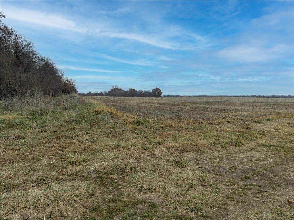 Tract 2 Pryor Road - Photo 1