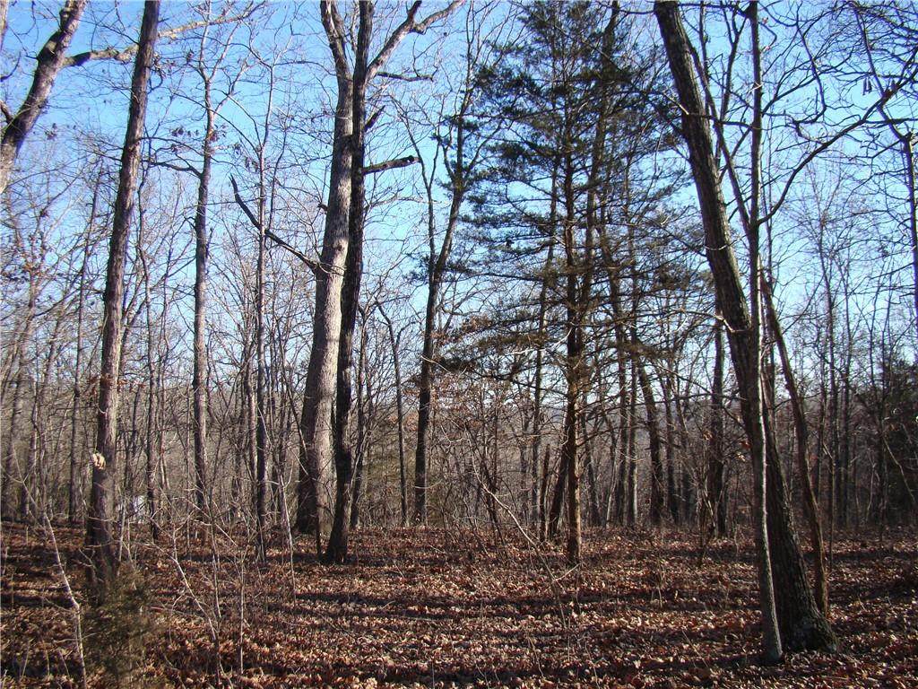  Gore/Keevon Road - Photo 1