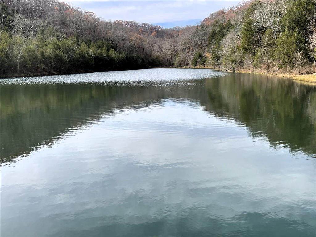 448 Notch Lane - Photo 1