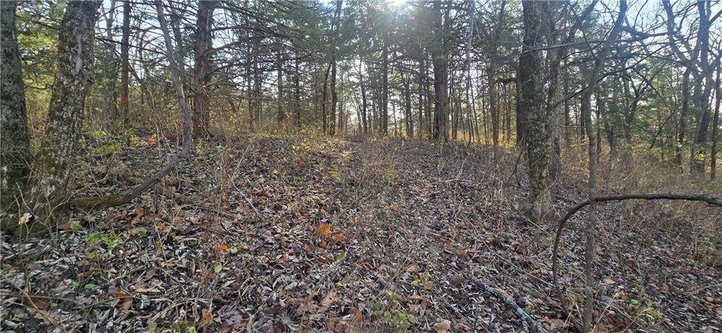  207th Street - Photo 1