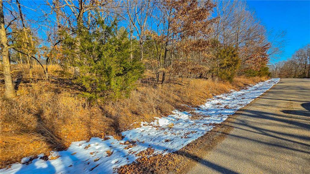 Lot #1356 Champion Drive - Photo 1