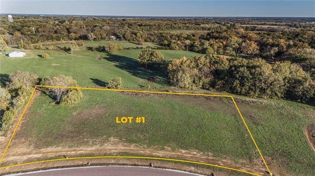 Lot 1 Travis Lane - Photo 1