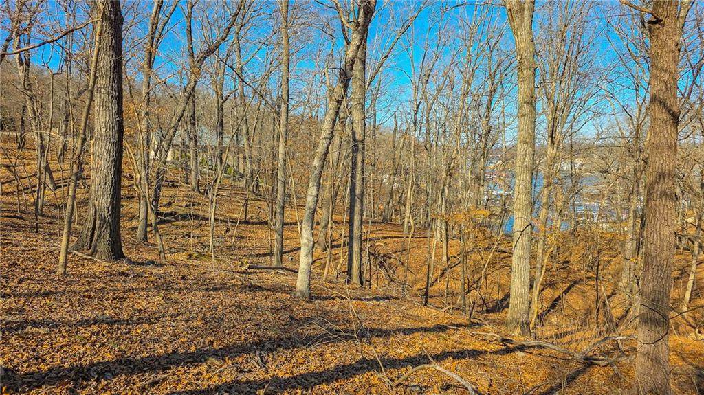 Lot #322 Oak Drive - Photo 1