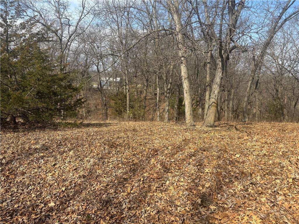  Lot 3109 Lake Viking Terrace - Photo 1