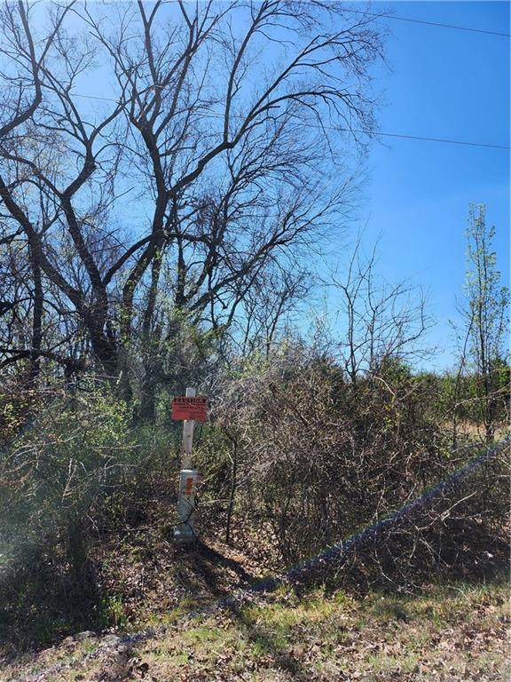 50 Newberry Drive - Photo 1