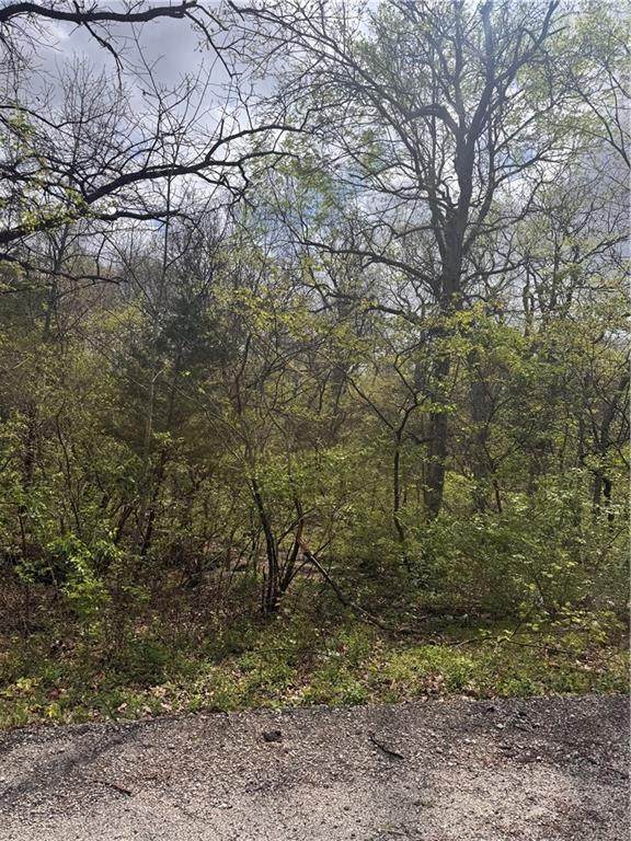 Lot 73 - 76 Green Forest Way - Photo 1