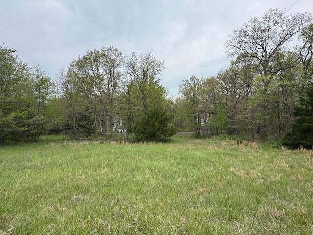 Lot 1108 Lake Viking Terrace - Photo 1