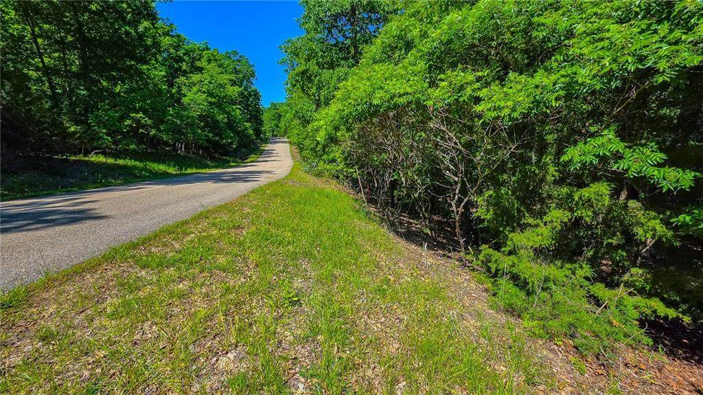 Lot #1190 Spring Creek Drive - Photo 1