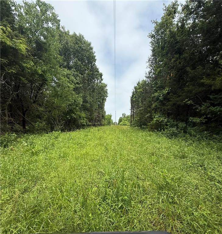  1100 Road - Photo 1