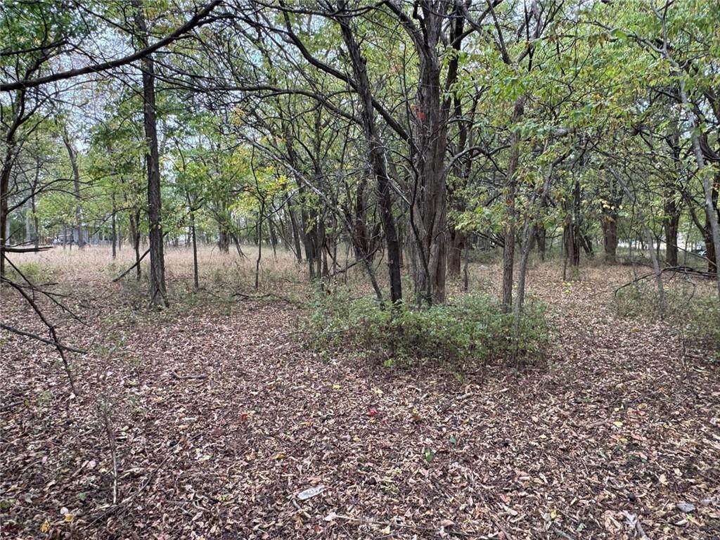 169 Linn Valley Boulevard - Photo 1