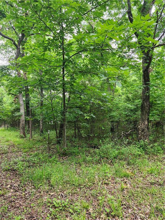 35 Mystic Valley Drive - Photo 1