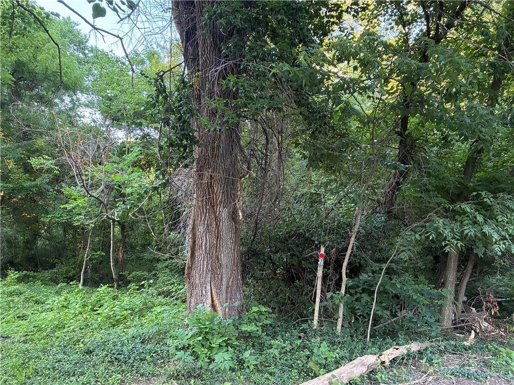 901 Willis Avenue - Photo 1