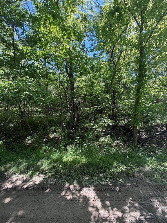 10 Scenic Lane - Photo 1
