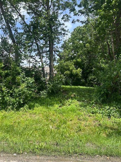 3947 Norton Avenue - Photo 1