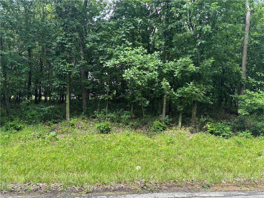  Lot 3063 Lake Viking Terrace - Photo 1