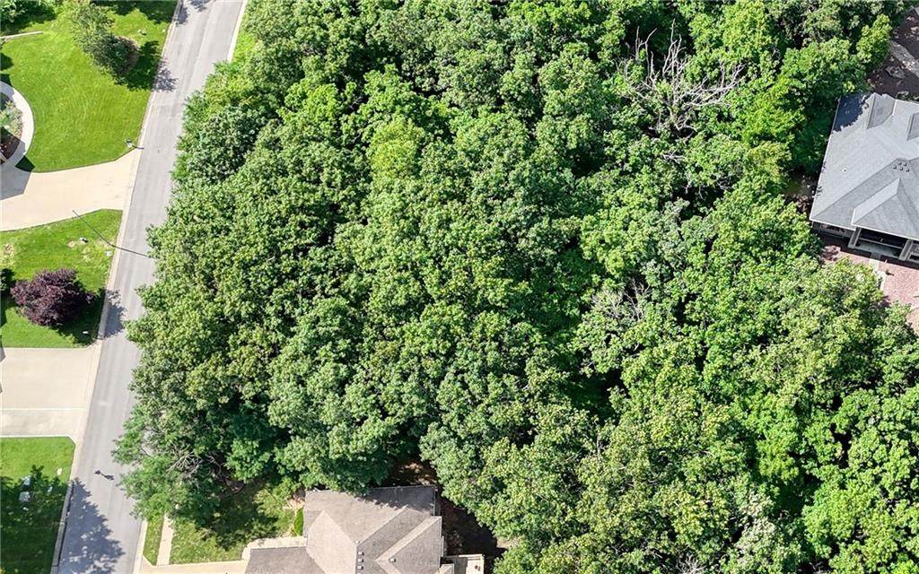 913 Cheatham Court - Photo 1