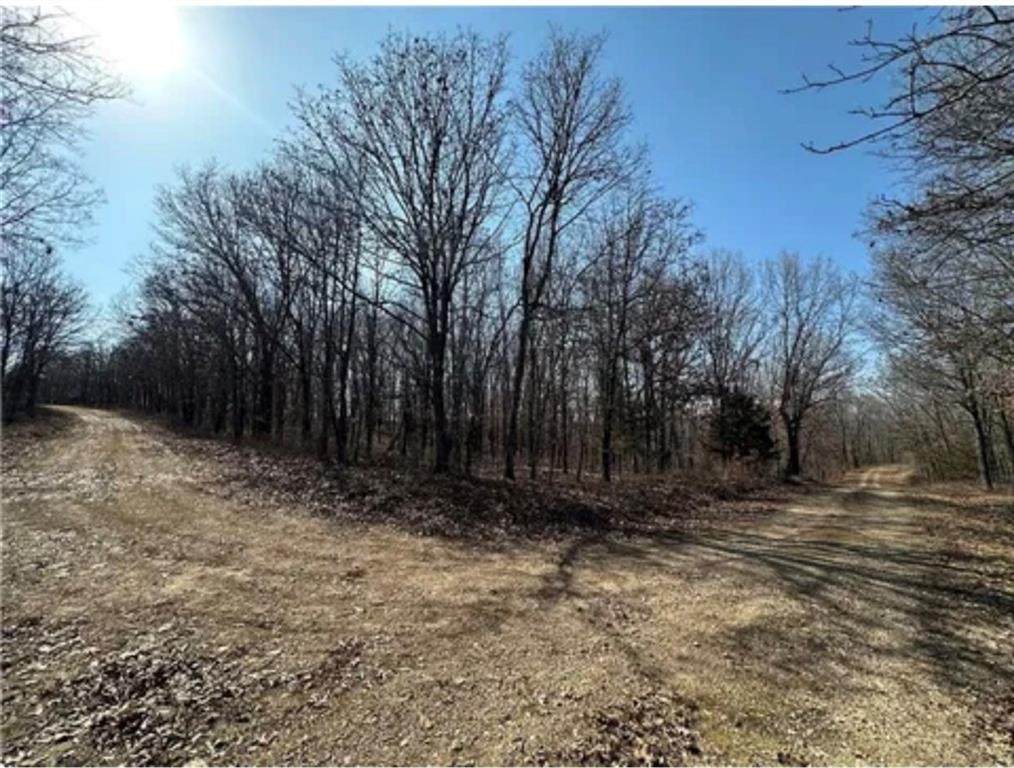 LOTS 3155,3156,3101 Rolfs Place - Photo 1