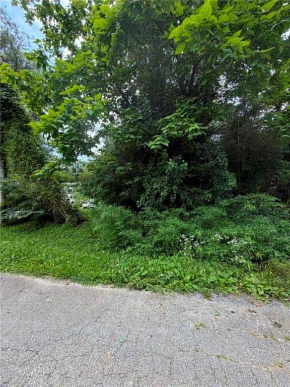 0 Sycamore Street - Photo 1