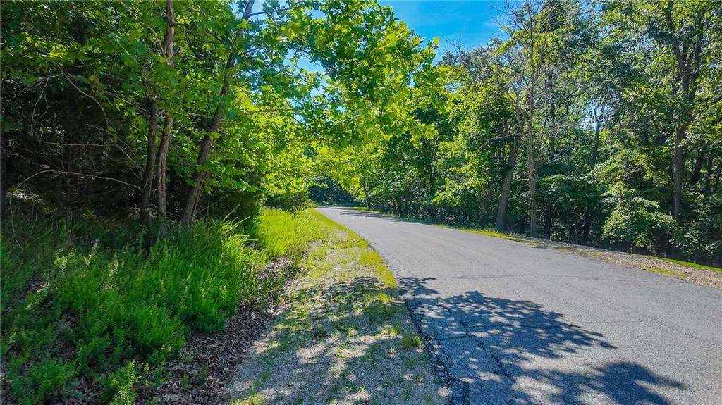 Lot #251 Grand Cove Road - Photo 1