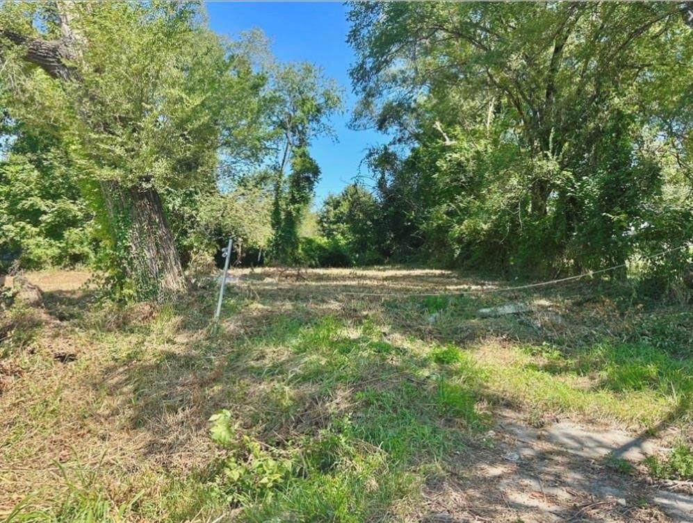 3123 Marsh Avenue - Photo 1