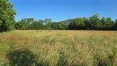  Fulks Road - Photo 1
