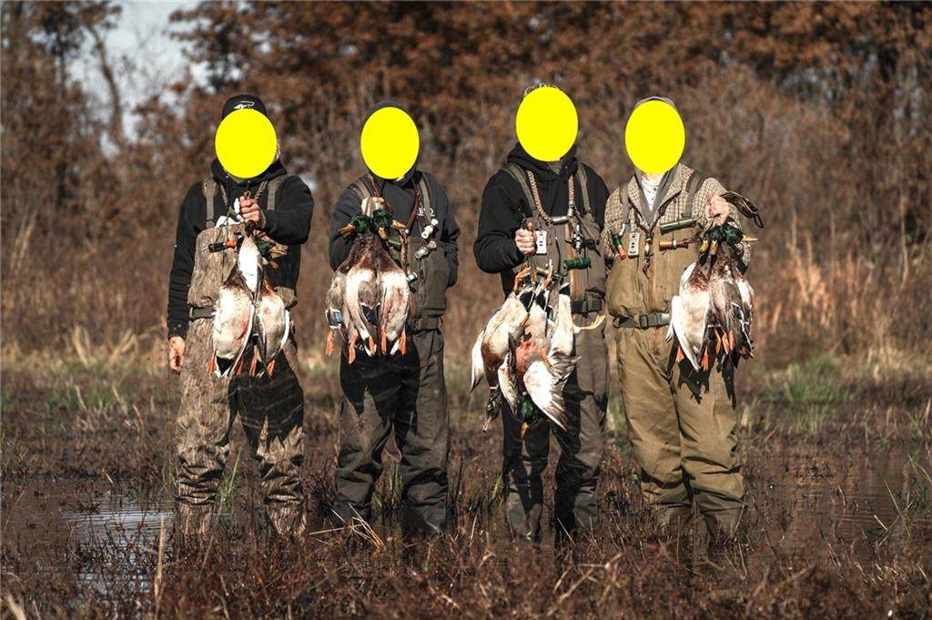 https://bt-photos.global.ssl.fastly.net/heartland/orig_boomver_1_2633938-1.jpg