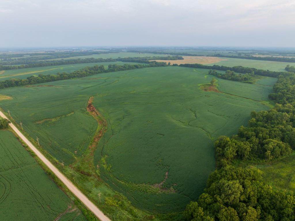TBD Tract 2 1300th Road - Photo 1