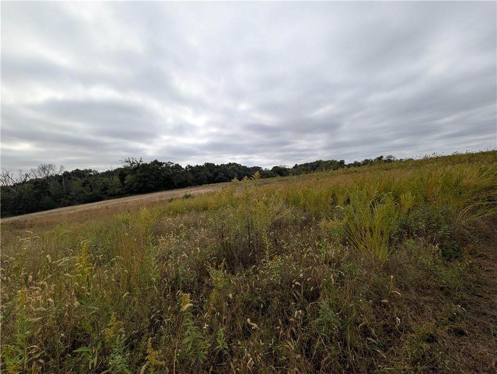  270th Avenue - Photo 1