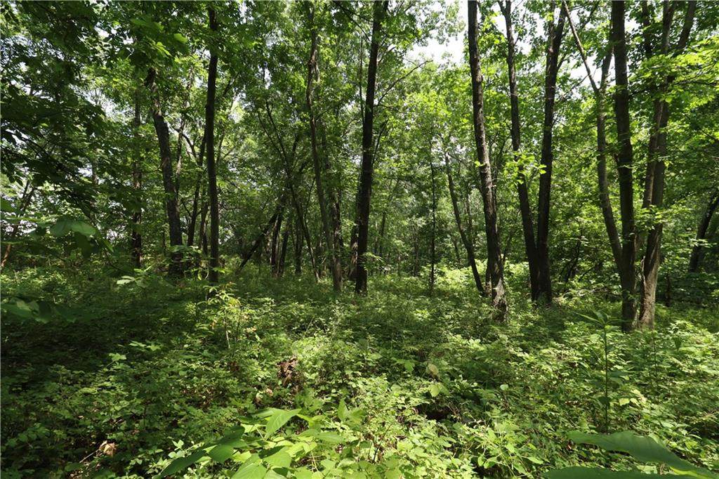 36 1200th Road - Photo 1