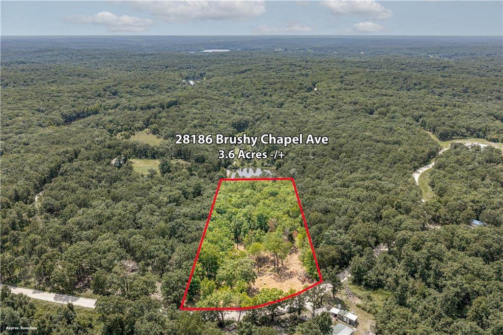 28186 Brushy Chapel Avenue - Photo 1